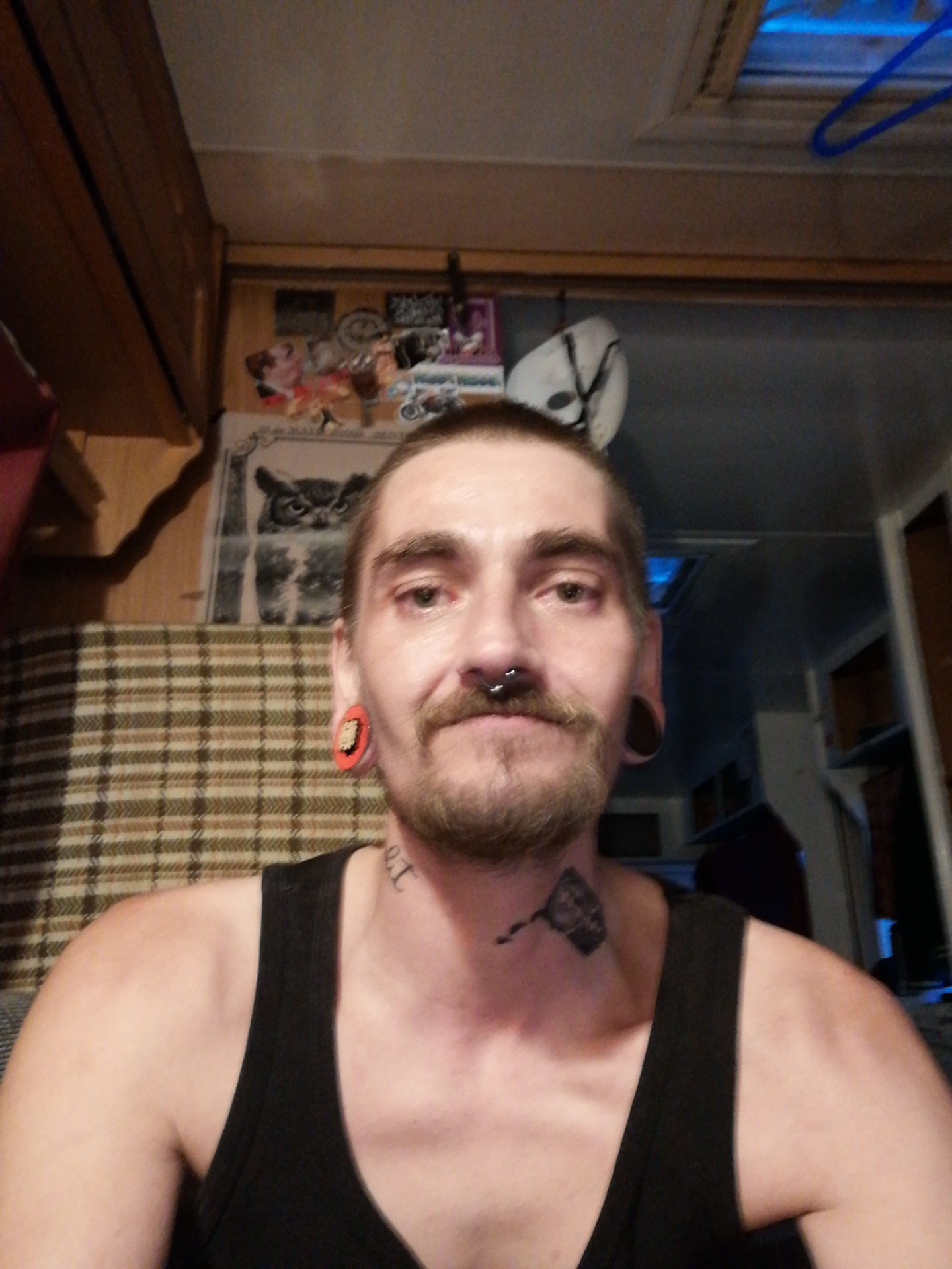 Eule aus Berlin,Deutschland