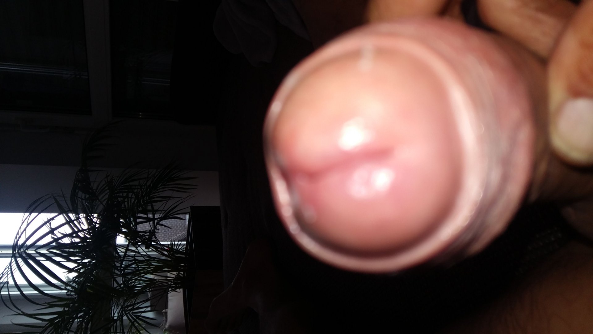 Liebchen aus Nordrhein-Westfalen,Deutschland