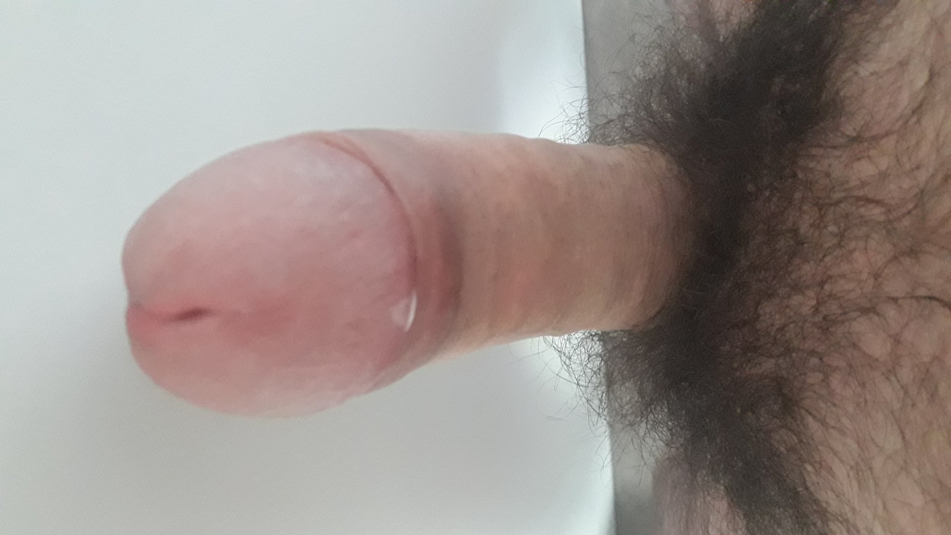 SchluckduSau aus Hessen,Deutschland